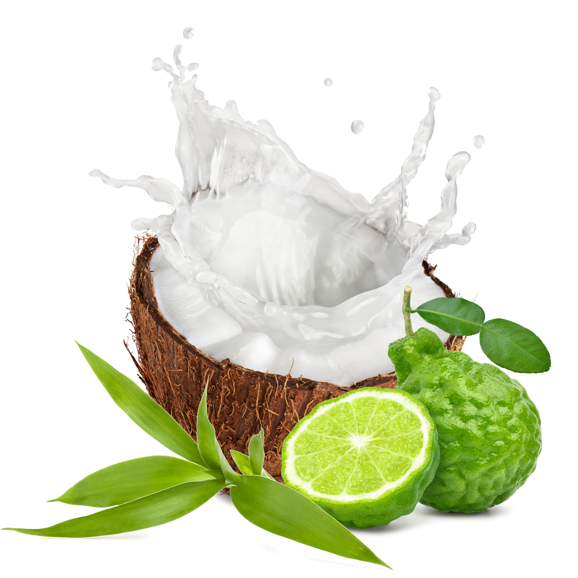 Coconut Water Scent Ingredients