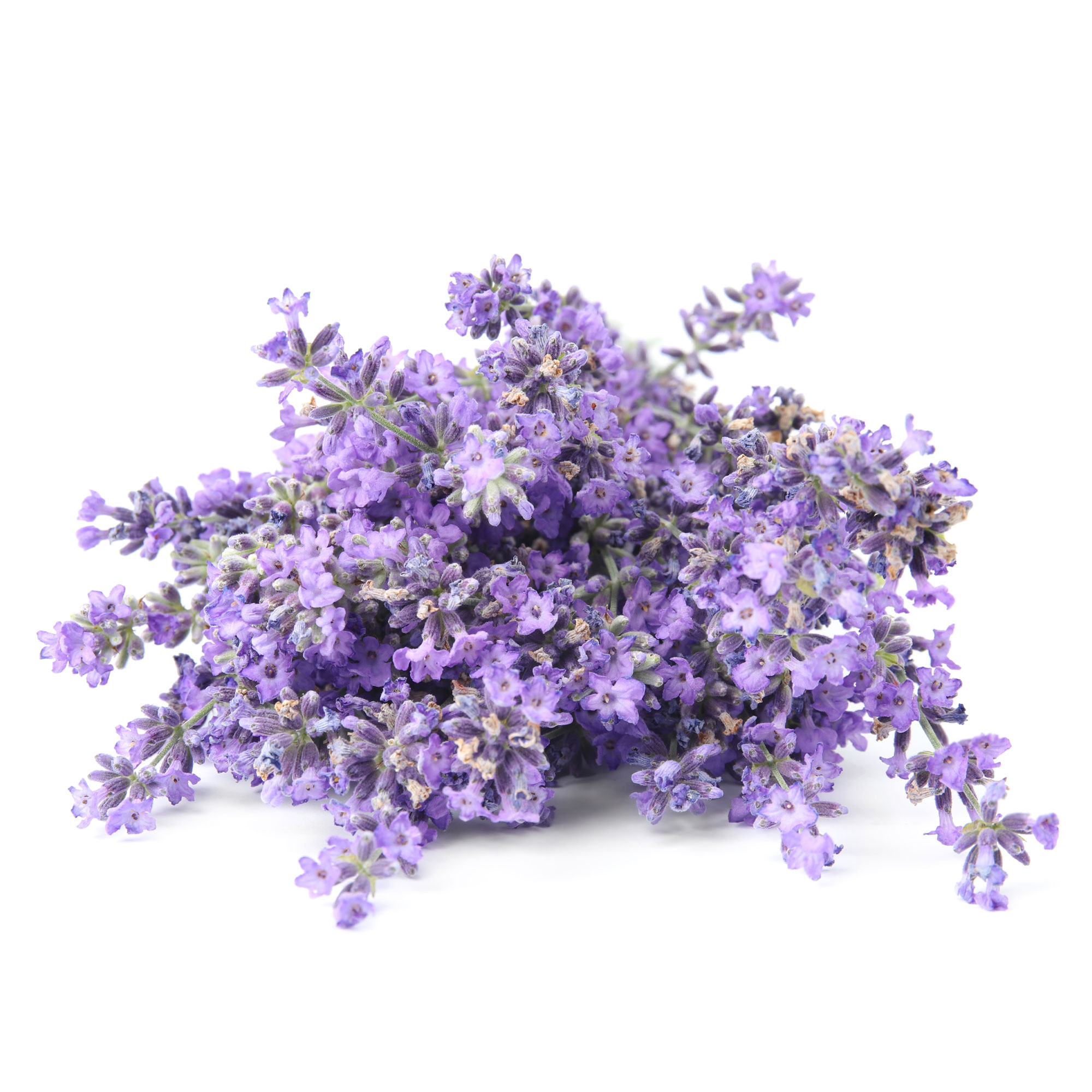 Lavender Scent Ingredients